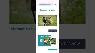 The School For Whippets  Online Dog Training  Preview [upl. by Gitt]