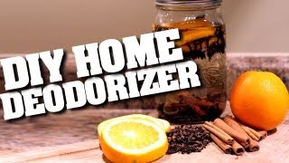 DIY Home Deodorizers How to Make a Home Deodorizer amp Keep Your Home Clean amp Fresh Clean My Space [upl. by Polash488]