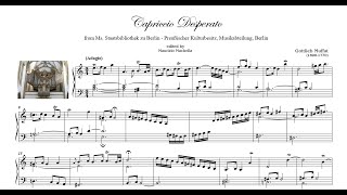 Gottlieb Muffat 16901770 quotCapriccio desperatoquot [upl. by Dlabihcra143]