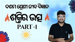 Life Science Chapter 8 Source Of Energy ଶକ୍ତିର ଉତ୍ସ Part1  Class 10 Life Science SA2 [upl. by Eimyaj]