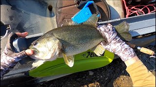 Broad River Fishing part 2 [upl. by Winston]