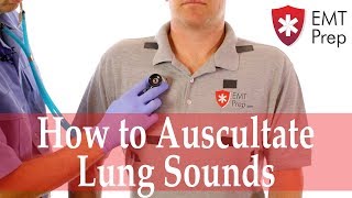 How to Auscultate Lung Sounds  EMTprepcom [upl. by Aarika]