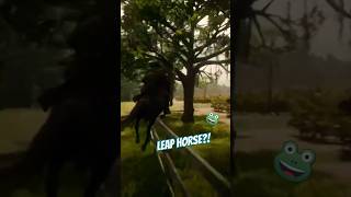 RD2 Horse Tripping Over Fence [upl. by Kciregor]