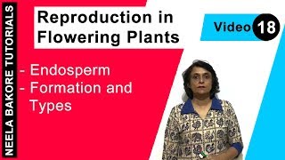 Reproduction in Flowering Plants  NEET  Endosperm  Formation and Types  Neela Bakore Tutorials [upl. by Dawkins196]