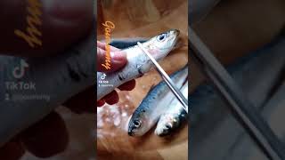 comment vider les sardines sardines astuce astuces [upl. by Attegroeg]