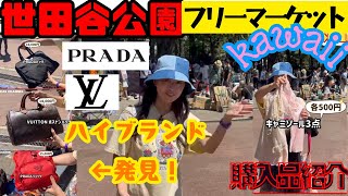 ❤️❤️❤️【世田谷公園】フリーマーケットでハイブランド！プラダとかルイヴィトン …もちろんy2kも探していくょ❤️❤️❤️ [upl. by Entroc]