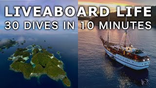 Liveaboard in Raja Ampat 10 Minutes in The Last Paradise [upl. by Enovaj111]