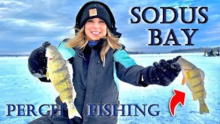 Back on SODUS BAY with the FamilyIce Fishing for Yellow Perch Jan 2022 [upl. by Kev539]