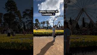 Spring festival in the Southern Hemisphere 🇦🇺🌻🎡🌺🌍 floriade canberra australia [upl. by Moitoso303]