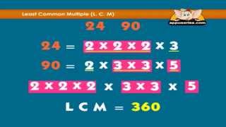 Learn Fractions  Summary [upl. by Ecylla577]