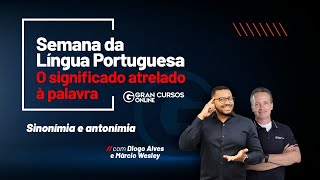 Semana de Língua Portuguesa  Sinonímia e antonímia  Diogo Alves e Márcio Wesley [upl. by Morgenthaler760]