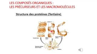 Cytologie Séance 3 part 2 Structure tertiaire et quaternaire des protéines [upl. by Sabba678]