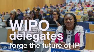 WIPO Assemblies 2019 [upl. by Ahsitaf]