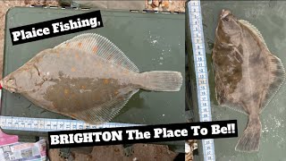 PLAICE Fishing UK BRIGHTON the PLACE to be [upl. by Celle]