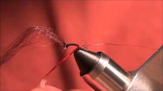 TCO Fly Tying  The Lightning Bug  Jake Villwock [upl. by Tanney262]