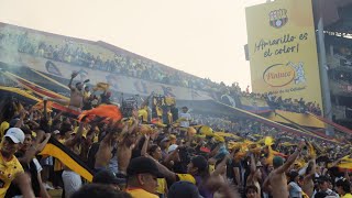 RESUMEN Barcelona SC vs Macará 21  Así alentó la hinchada  Sur Oscura 2024 [upl. by Tsyhtema]