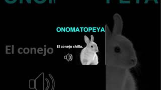 ONOMATOPEYA  El conejo chilla [upl. by Ofella]