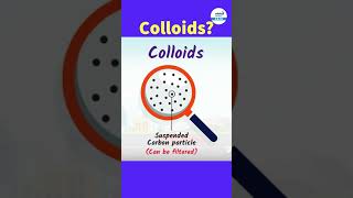 What Are Colloids Simple Definition and RealLife Examples  fog shorts  InfinityLearn910 [upl. by Odlabso]