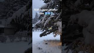 Come to nikko baby let’s make hot Nikko together 🙈🤟 music love song [upl. by Alexi]