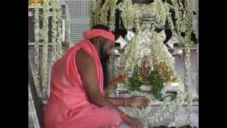 Sri Ganapathy Sachchidananda Swamiji UnveiledSri Swamiji Life Story [upl. by Leisha]