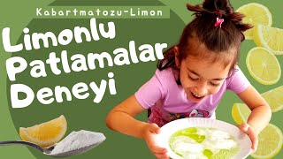 LİMON BUNU YAPABİLİR Mİ 😱  Okul Öncesi Deneyleri [upl. by Konyn378]