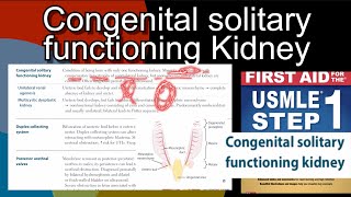 Congenital solitary functioning kidney  Unilateral renal agenesis  Multicystic dysplastic kidney [upl. by Turoff13]