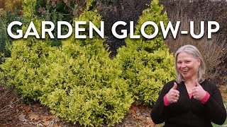 Garden GlowUp  This Plant Lights Up the Landscape [upl. by Ayotel]