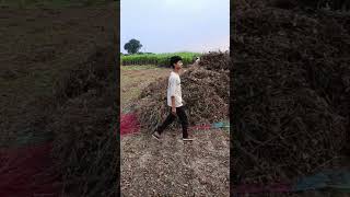 chore Haryana ke desi workouitet 🦍youtube ytshorts desi d [upl. by Mercola]