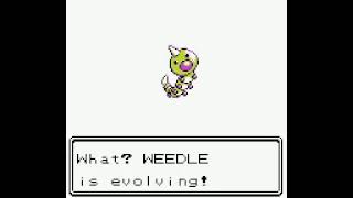 Shiny Weedle evolution to Kakuna  Pokémon Crystal [upl. by Dinnage]