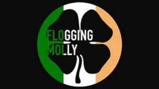 Flogging MollyPaddys Lament [upl. by Alemac]