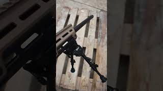 Rifle Savage cal 308 WIN  Shooting Test shorts viral [upl. by Urbanna]