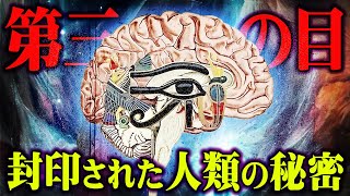 人類の失われた本当の力がヤバすぎる【 都市伝説 マイクロチップ イーロン・マスク 】 [upl. by Bilat88]