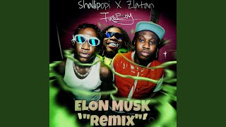 Elon Musk feat Fireboy DML Remix [upl. by Akilak106]