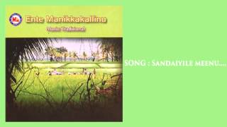 SANDHAYILE MEENU  Ente Manikkakallinu  Folk Songs Malayalam  Pranavam Sasi [upl. by Nacnud913]