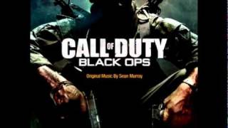 Call of Duty Black Ops OST  Hard Target [upl. by Micro620]