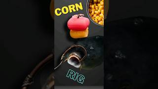 Deadly Corn Rig Combining Fake and Real Corn for Carp Fishing [upl. by Anirat959]