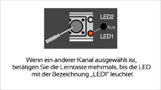 Sommer Handsender am Duo Vision Torantrieb einprogrammieren [upl. by Javler]