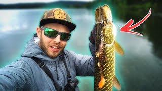 4 Tips for PIKE FISHING from the Shore 🐊 [upl. by Maynard843]