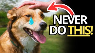 🐾 9 Things Your Dog Will Never Forgive 🐾 [upl. by Ulrica805]