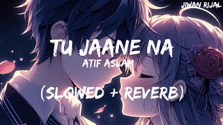 TU JAANE NA slowedreverb  Ajab Prem Ki Ghazab Kahani by Atif Aslam [upl. by Ellehcyt200]