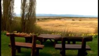 El Calafate En Vivo [upl. by Nahshunn995]