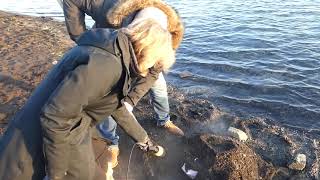 Unearthing Lava Bread In Iceland [upl. by Gypsie711]