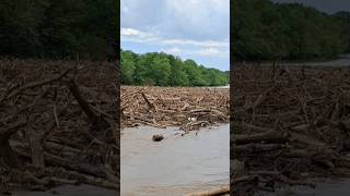 Massive Logjam on the Neosho River  Twin Bridges State Park Wyandotte OK logjam river bridge [upl. by Nekcarb]