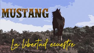 Mustang La libertad ecuestre [upl. by Ttevy]