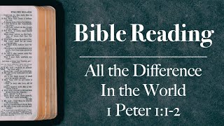 Sermon 2nd June 2024 All the Difference in the World 1 Peter 112 [upl. by Eiznekcam]