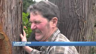 Artist Uses Chain Saw To Cut Down Tree Into Library [upl. by Anaerol272]