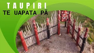 NEW ZEALAND MAORI SITE TAUPIRI [upl. by Solis]