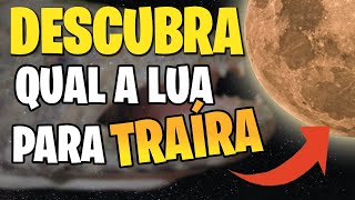 DESCUBRA A LUA E A ISCA PARA PESCAR TRAÍRA DURANTE O DIA  Fala PescadorPescaria [upl. by Zorah914]