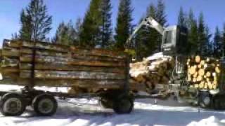 LampL Inc Loglift 251 self loading Mule Train quotMontana Short Loggerquot [upl. by Canfield]