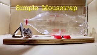 Make a ● Simple Bottle Mousetrap  that works [upl. by Yoreel]